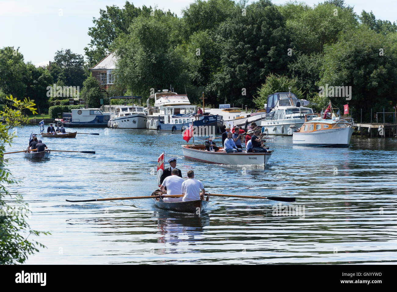 Swan Upping boats and skiffs on Thames River at Lalham Reach, Laleham