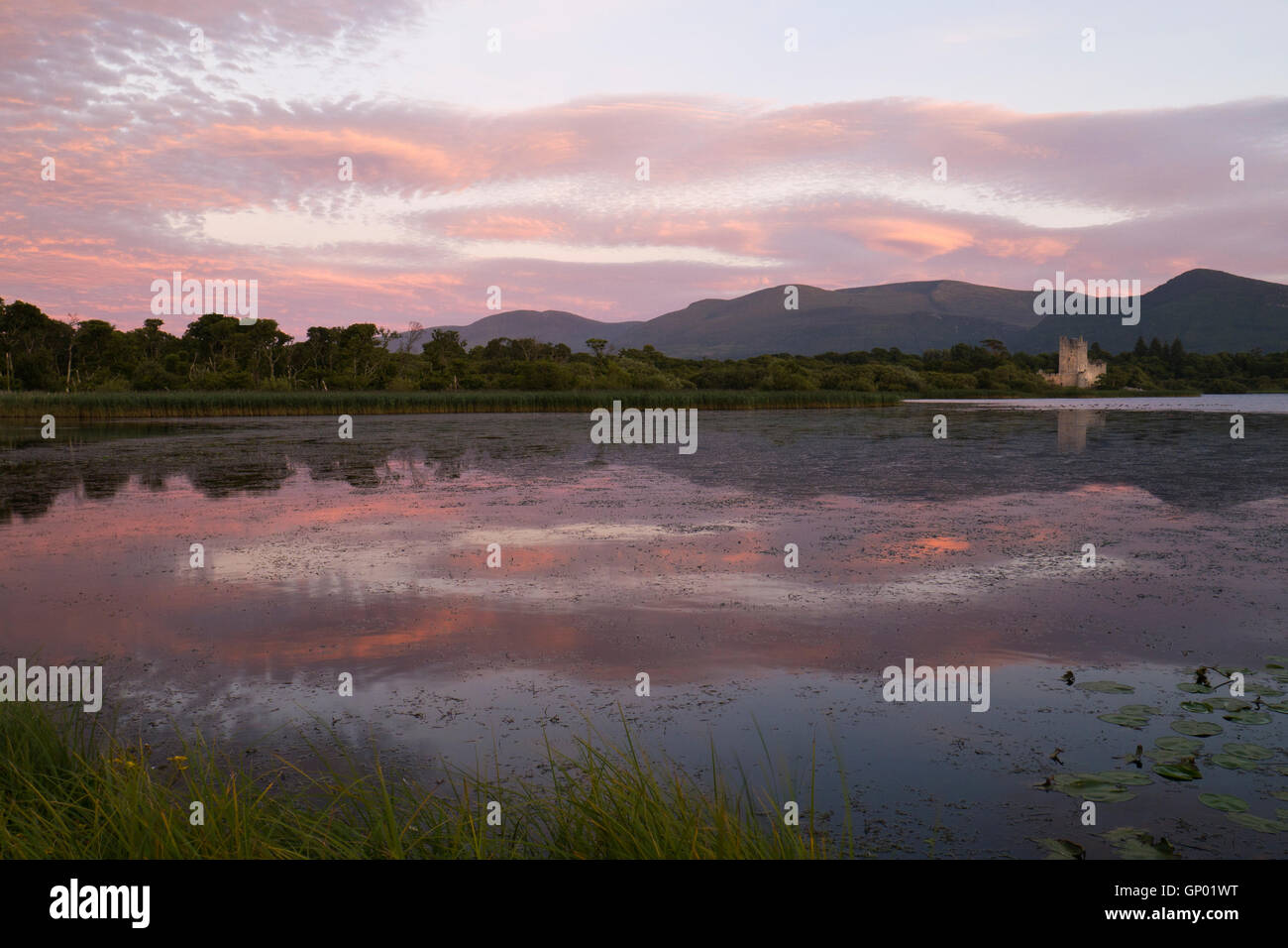 Lough Leane and Ross castle, County Kerry Stock Photo