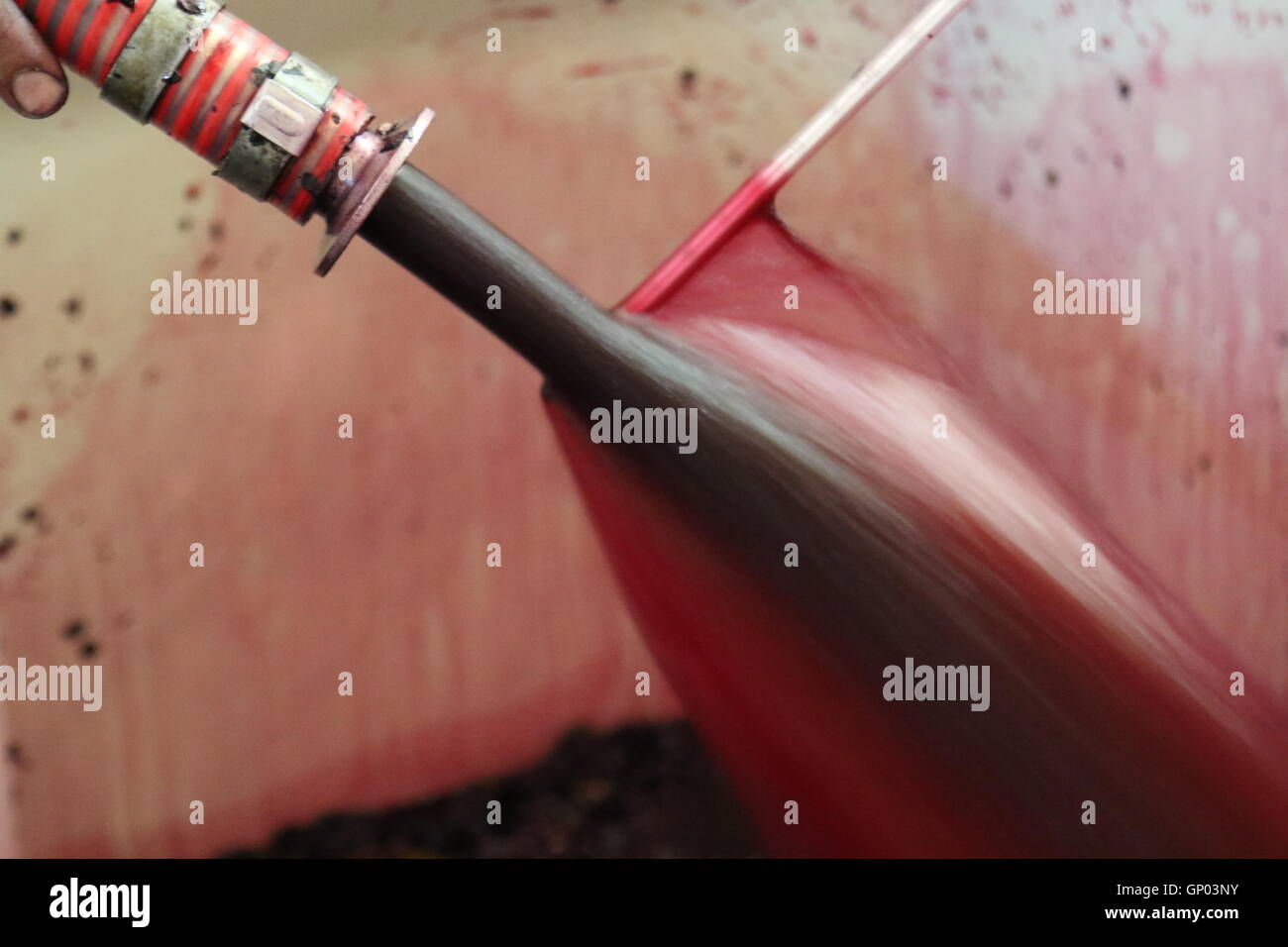 A sample being taken from Red wine grape juice splashing at Kingston