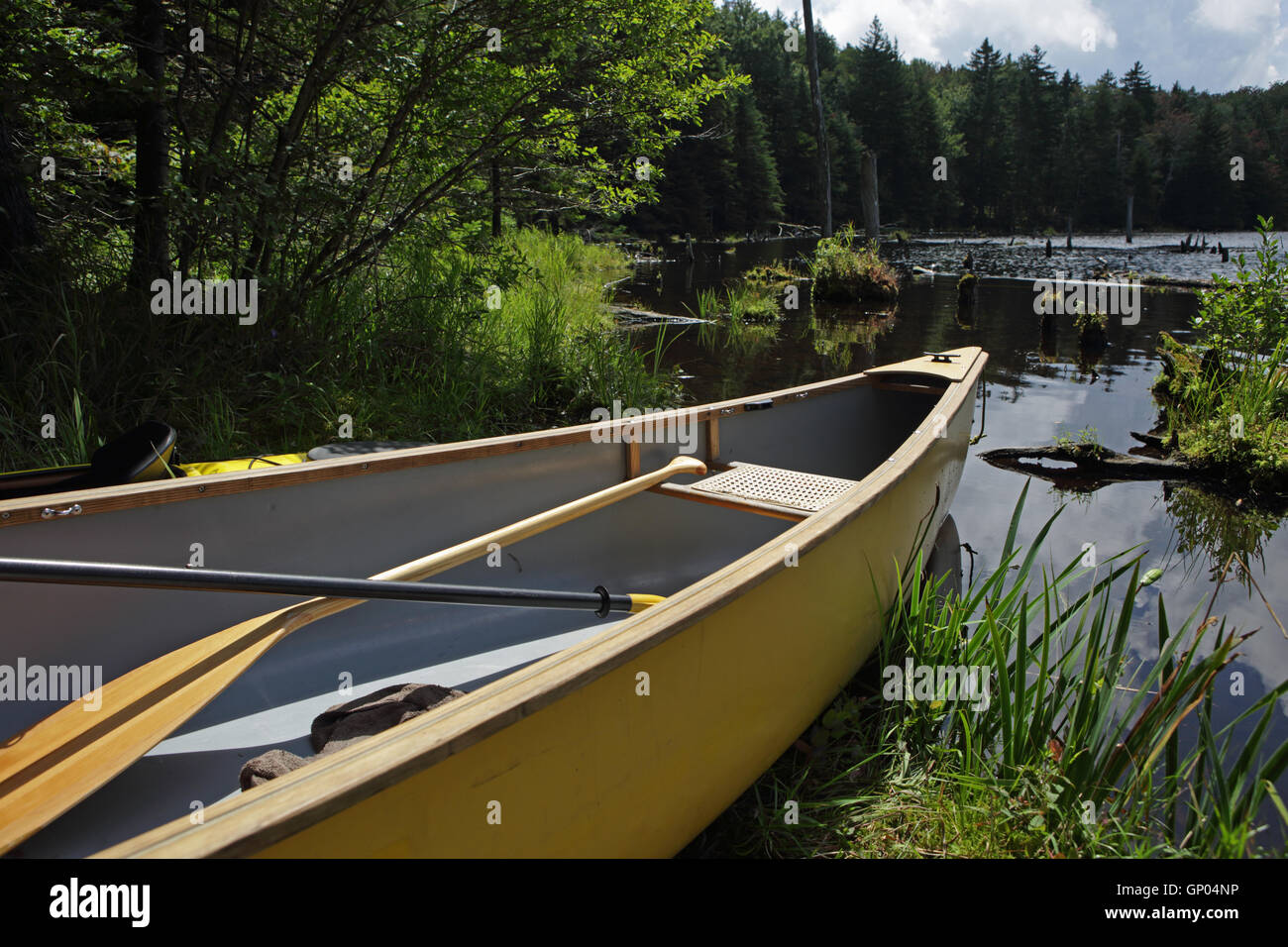 Yellow canoe and kayak rest on the bank of a beaver pond in the Green