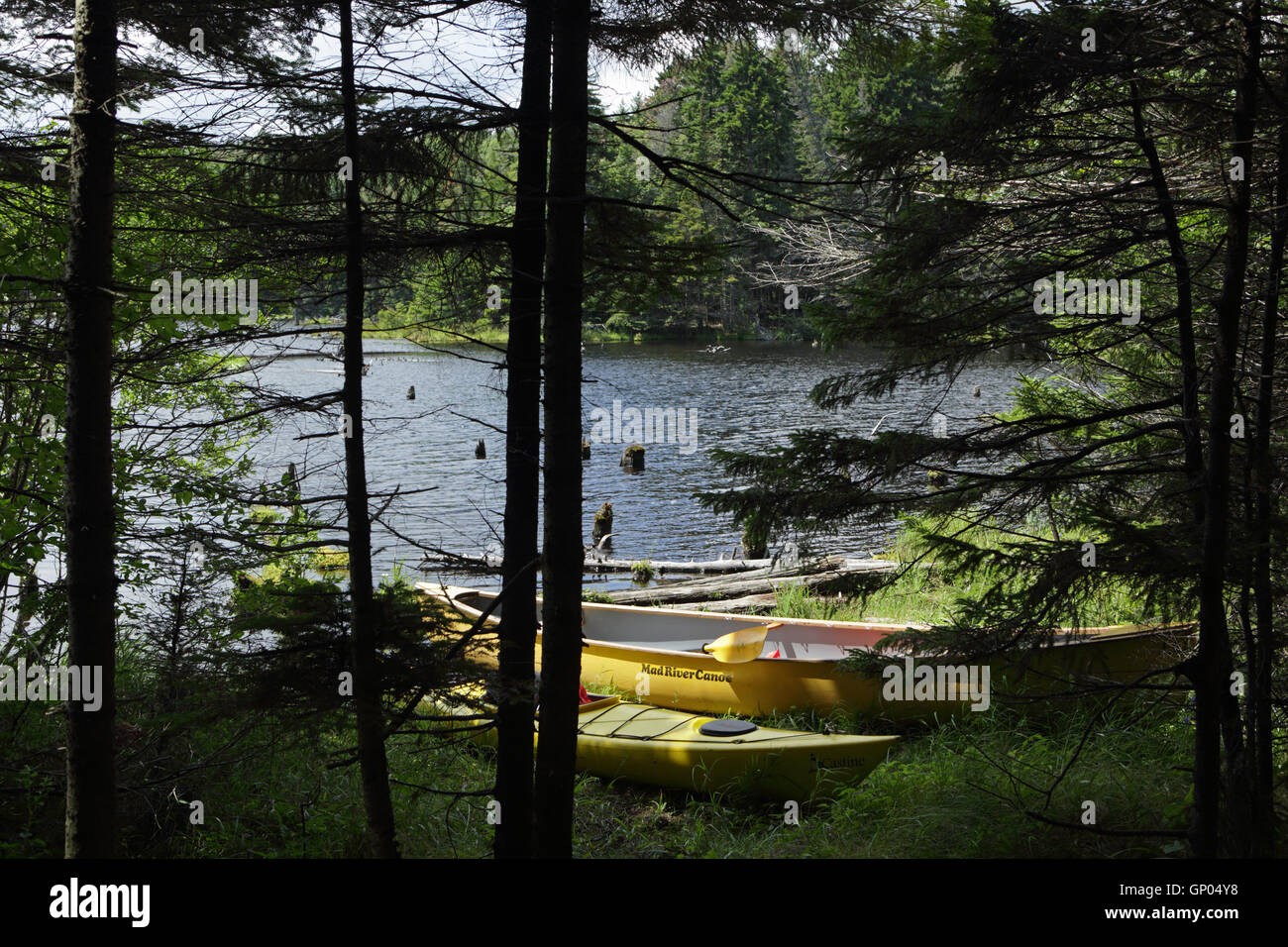 Kayaks in swamp hires stock photography and images Alamy