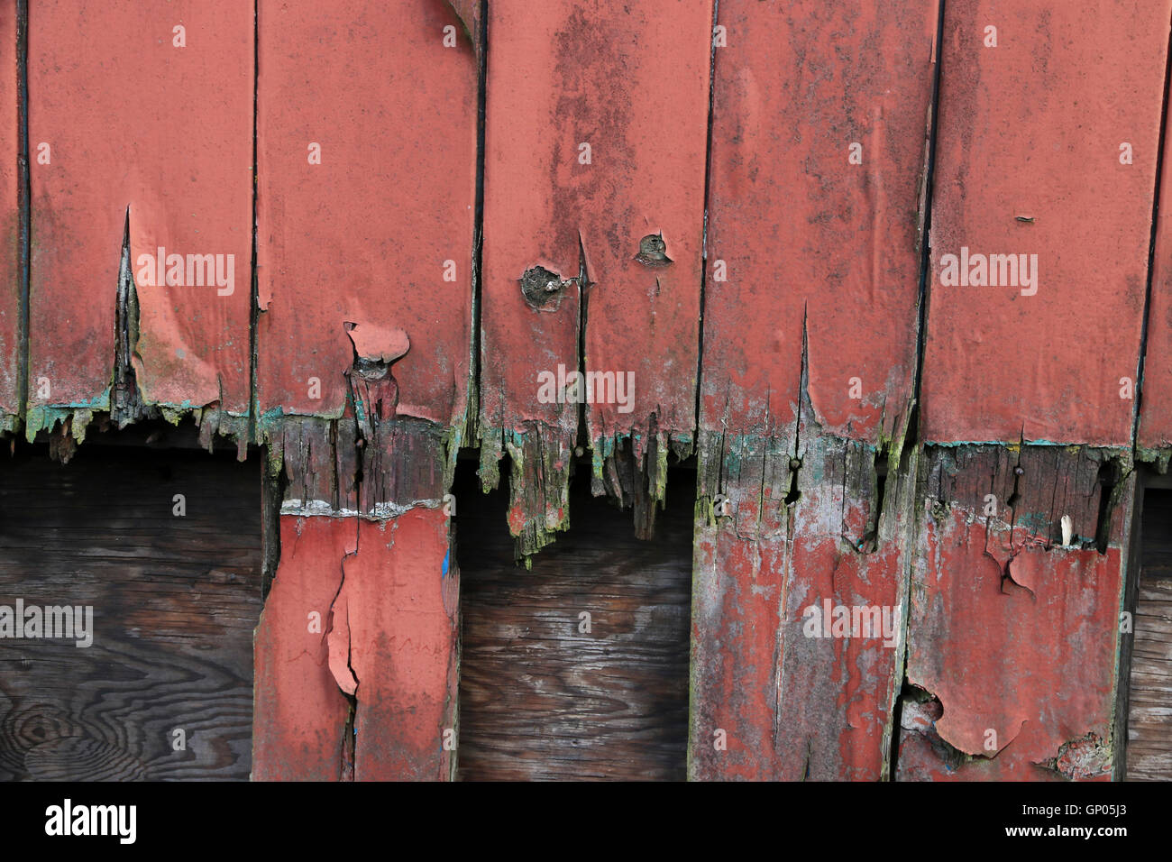 old paintwork on a rotting door Stock Photo