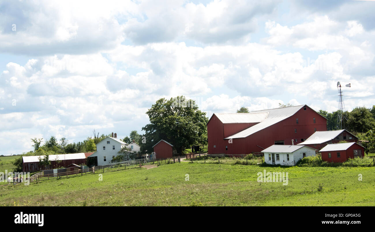Amish family farm in Holmes county Ohio USA Stock Photo