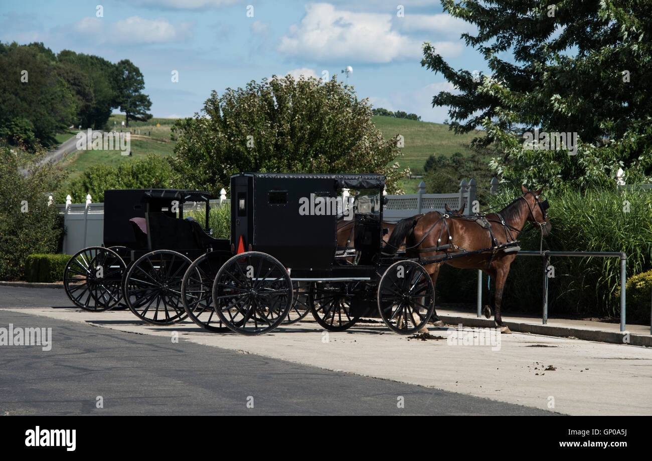 Buggys High Resolution Stock Photography and Images - Alamy