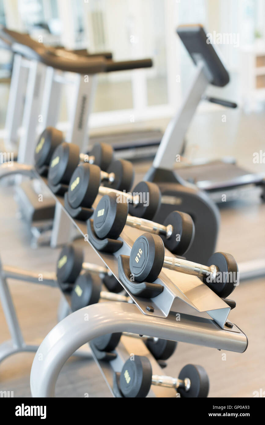 dumbbells on rack in a hall Stock Photo