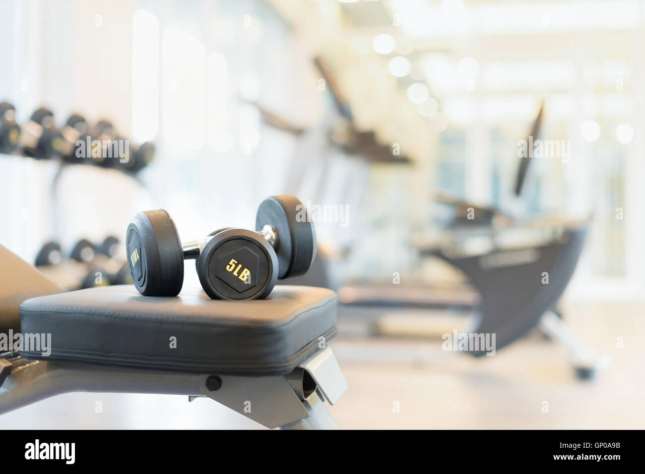 Two dumbbells on the exercise bench. Gym equipment Stock Photo Alamy