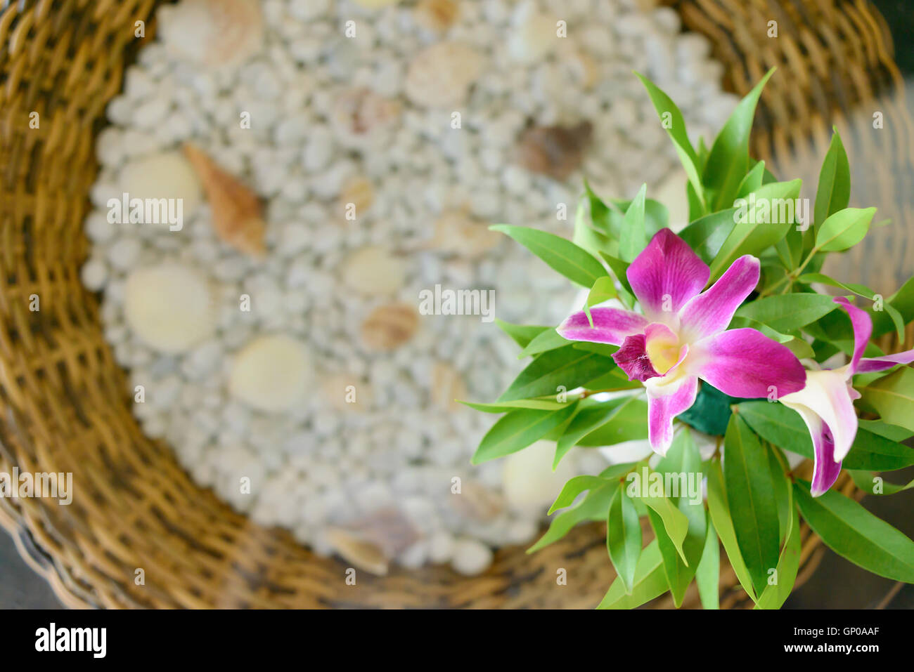 Round table decoration with purple orchids and greed leafs, top view. Stock Photo