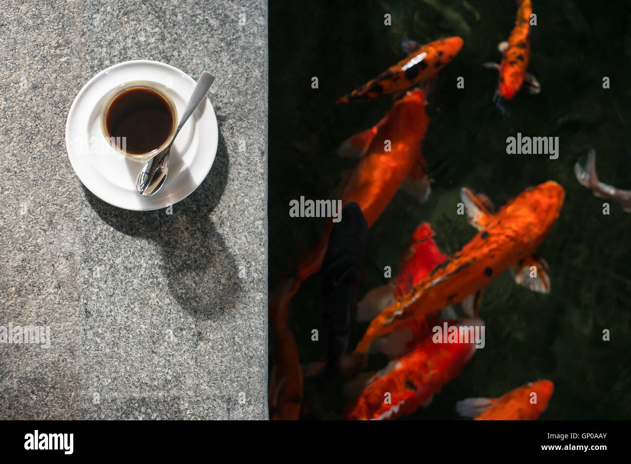 Top view of a cup of coffee beside Koi pond Stock Photo