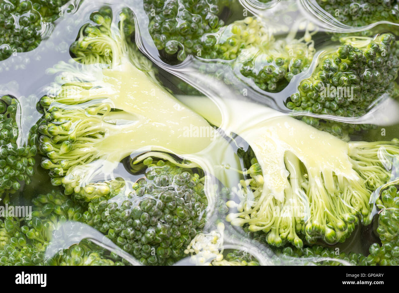 Green broccoli sliced in the water, close up. Stock Photo