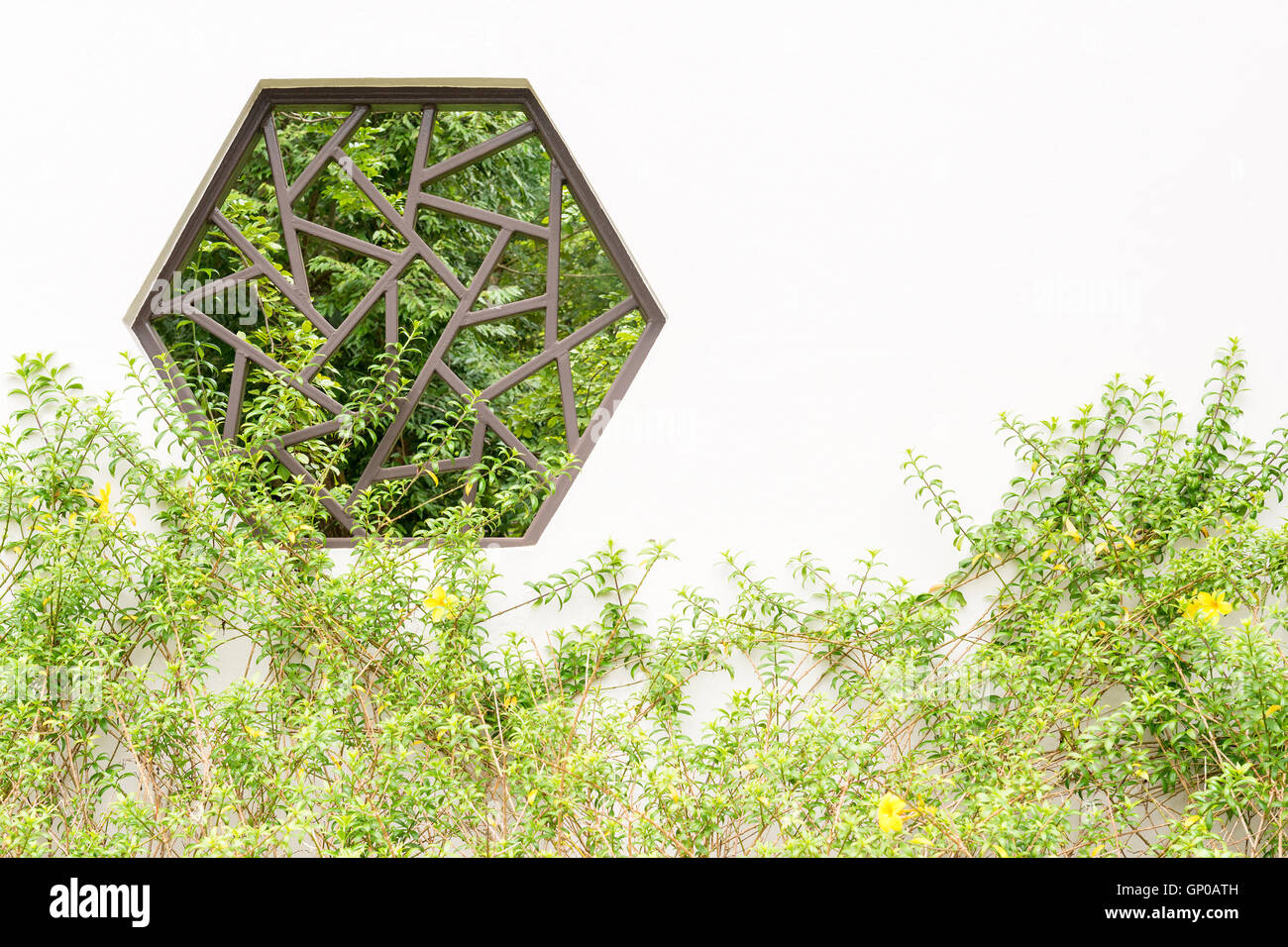 Chinese hexagon style window on the wall at backyard gardening, copy space. Stock Photo