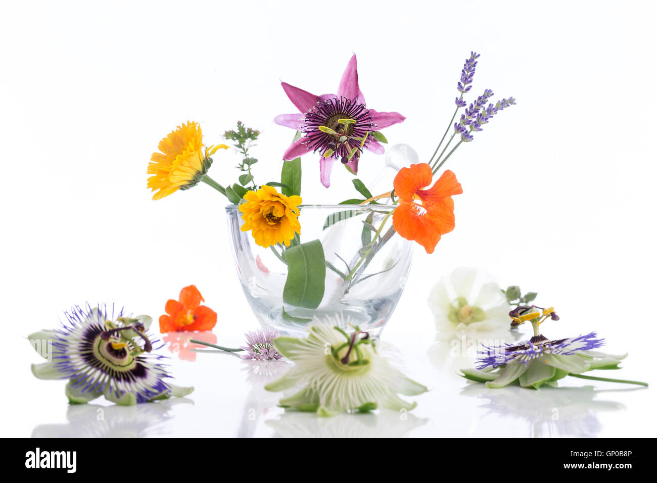 Natural herb and flower selection for herbal medicine Stock Photo