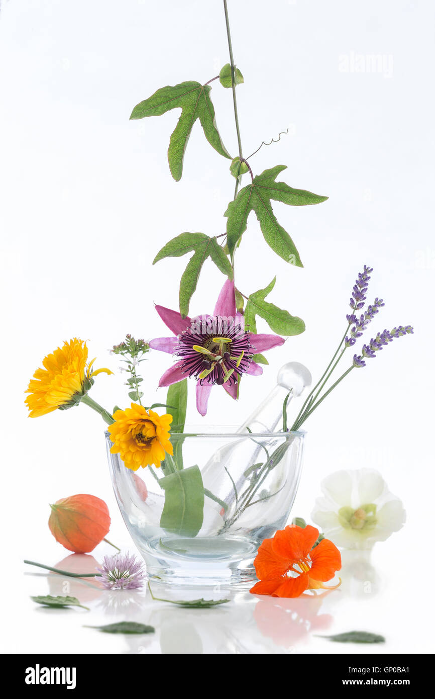 Natural herb and flower selection for herbal medicine Stock Photo