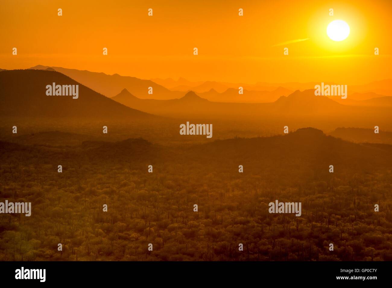 Sunset over the Ironwood Forest National Monument in the Sonoran Desert