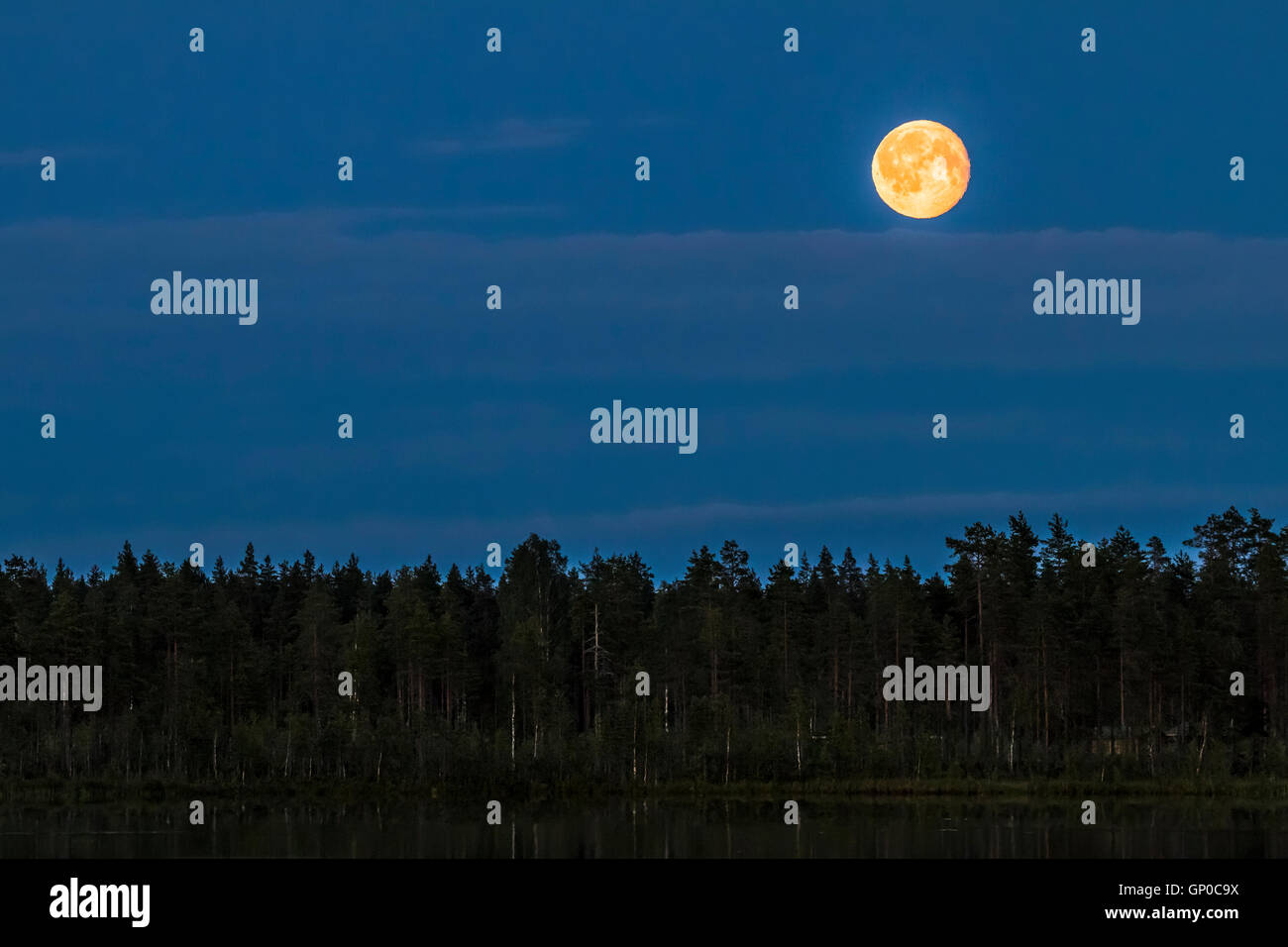 Full moon over the forest lake Stock Photo - Alamy