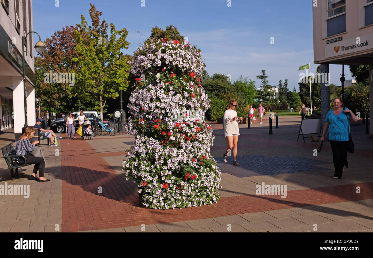 Street floral displays in Crawley Sussex UK Stock Photo