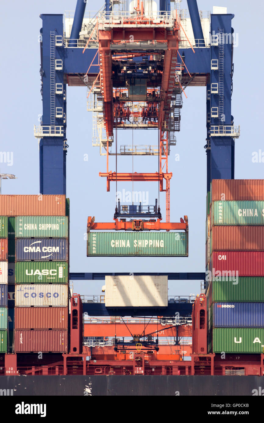 Gantry crane operator placing a container in a cargo ship the Port of Rotterdam. Stock Photo