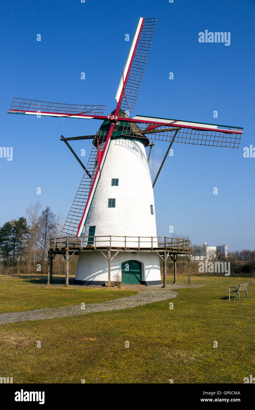 The Economic Drivers of the Policy Shift