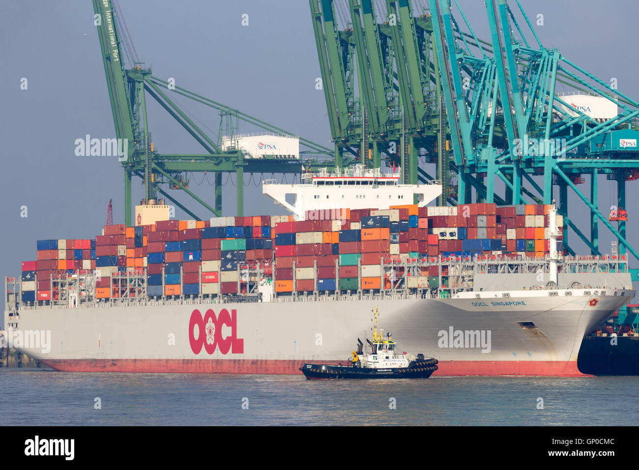 Container ship OOCL Singapore leaving a container terminal in the Port of Antwerp. Stock Photo