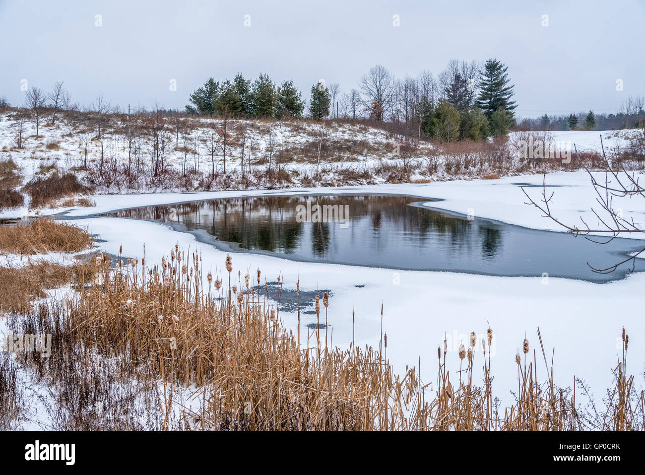frozen lake in winter overcast day Stock Photo - Alamy