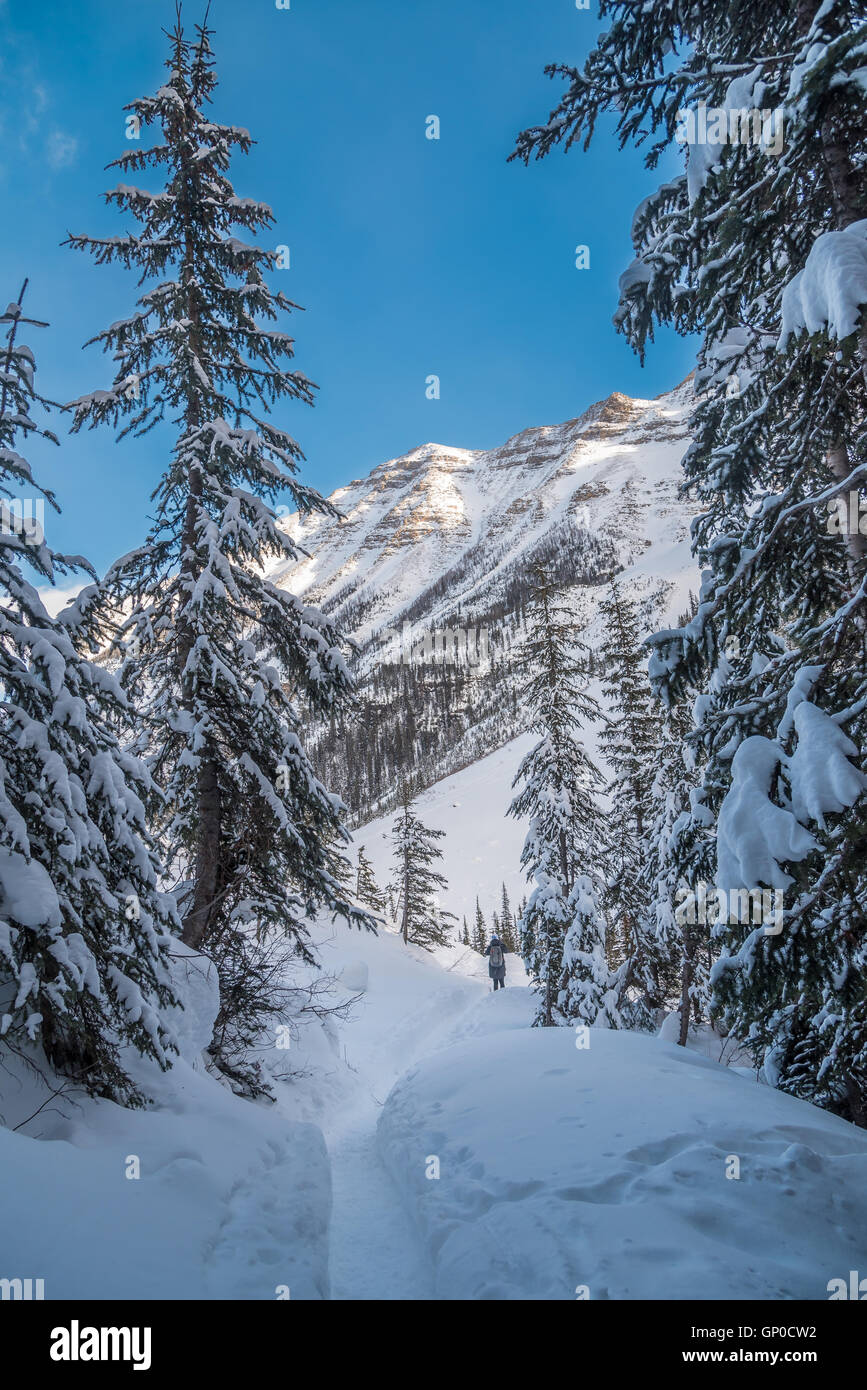 Lake Louise in Banff Park in winter time, Alberta, Canada Stock Photo ...