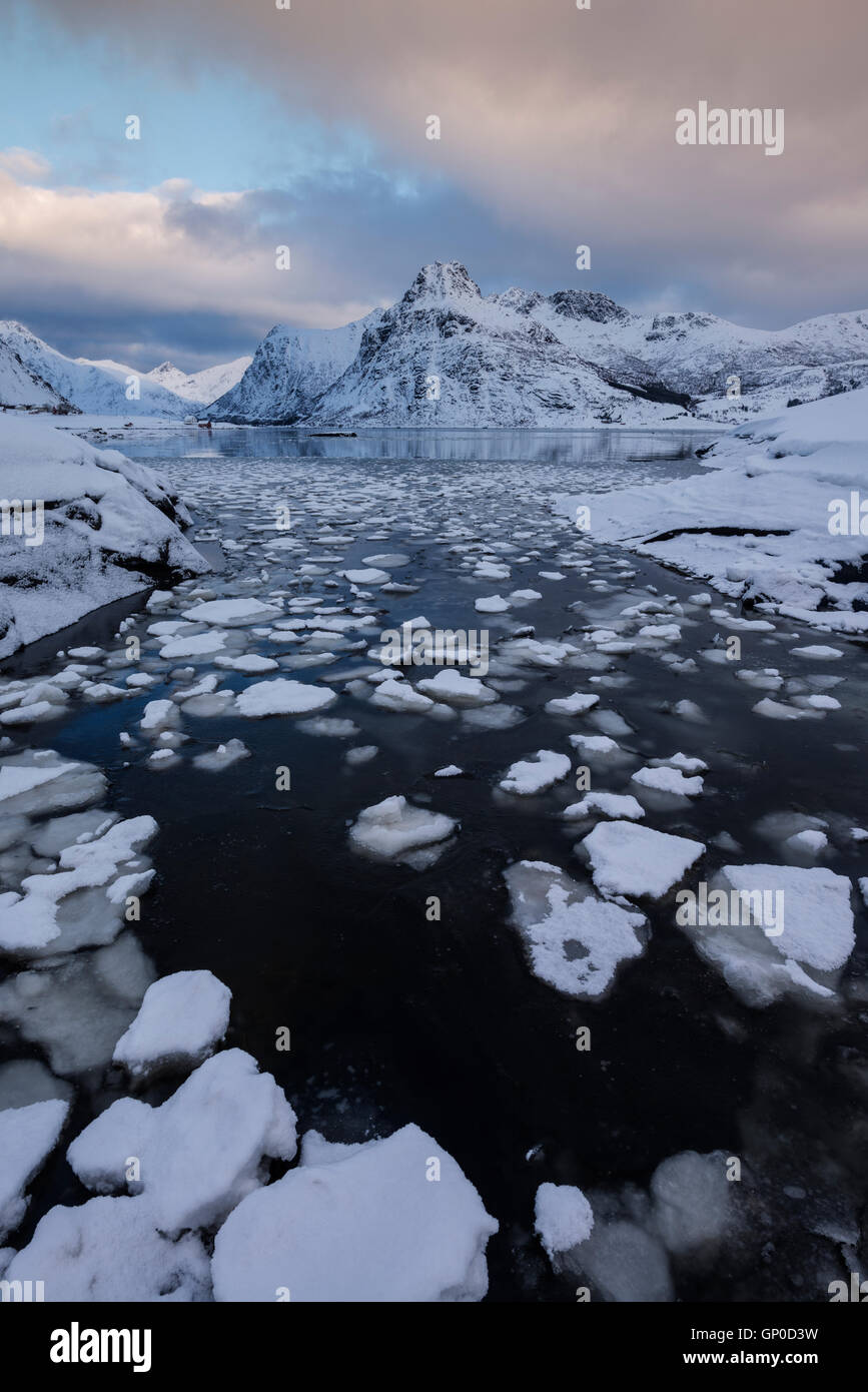 Ice floats in water at Flakstadpollen, Flakstadøy, Lofoten Islands, Norway Stock Photo