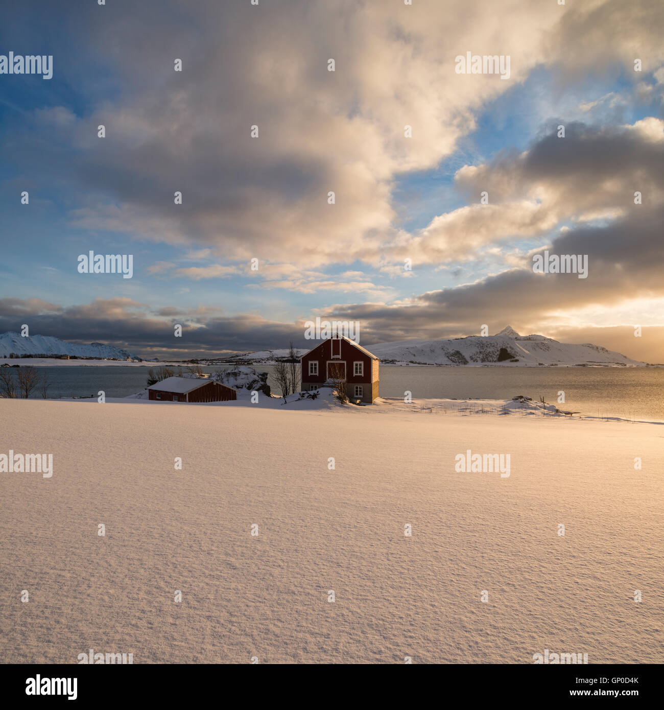 Barn in coastal winter landscape, Vestvågøy, Lofoten Islands, Norway Stock Photo