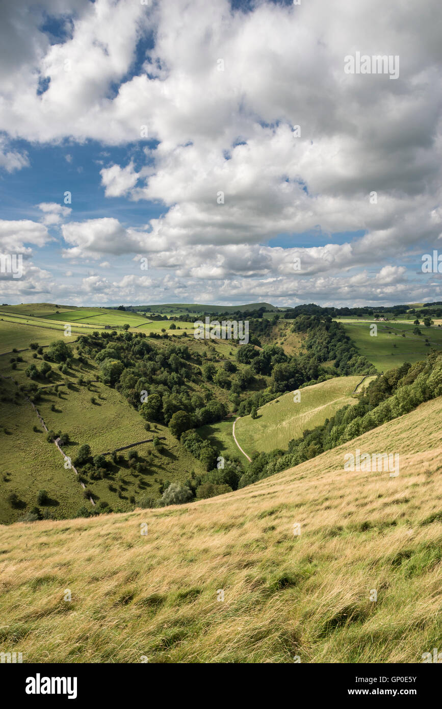 High view looking down the Dove valley near Milldale in the Peak