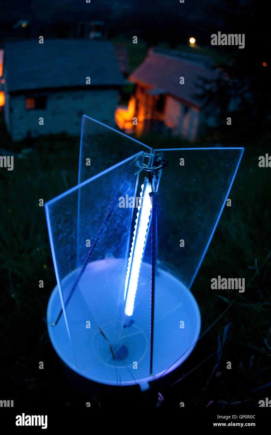 Moth night survey whit a UV light lamp on Alps Stock Photo