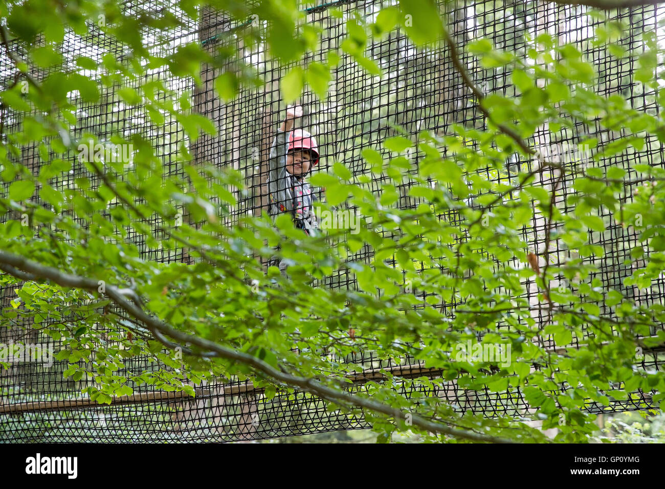 Young girl through the trees during tree climbing activity Stock Photo