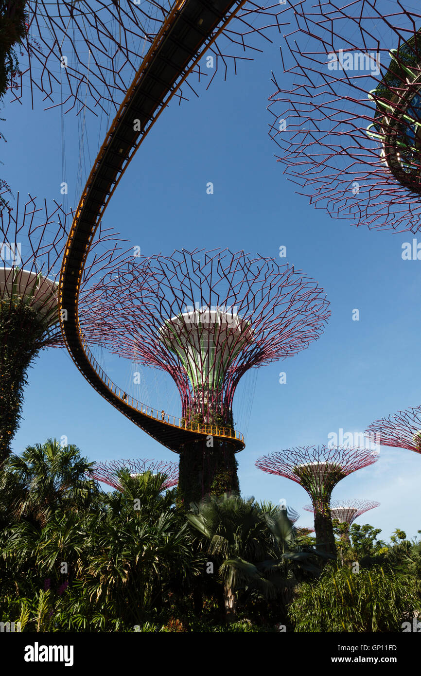 Gardens by the bay, singapore hi-res stock photography and images - Alamy
