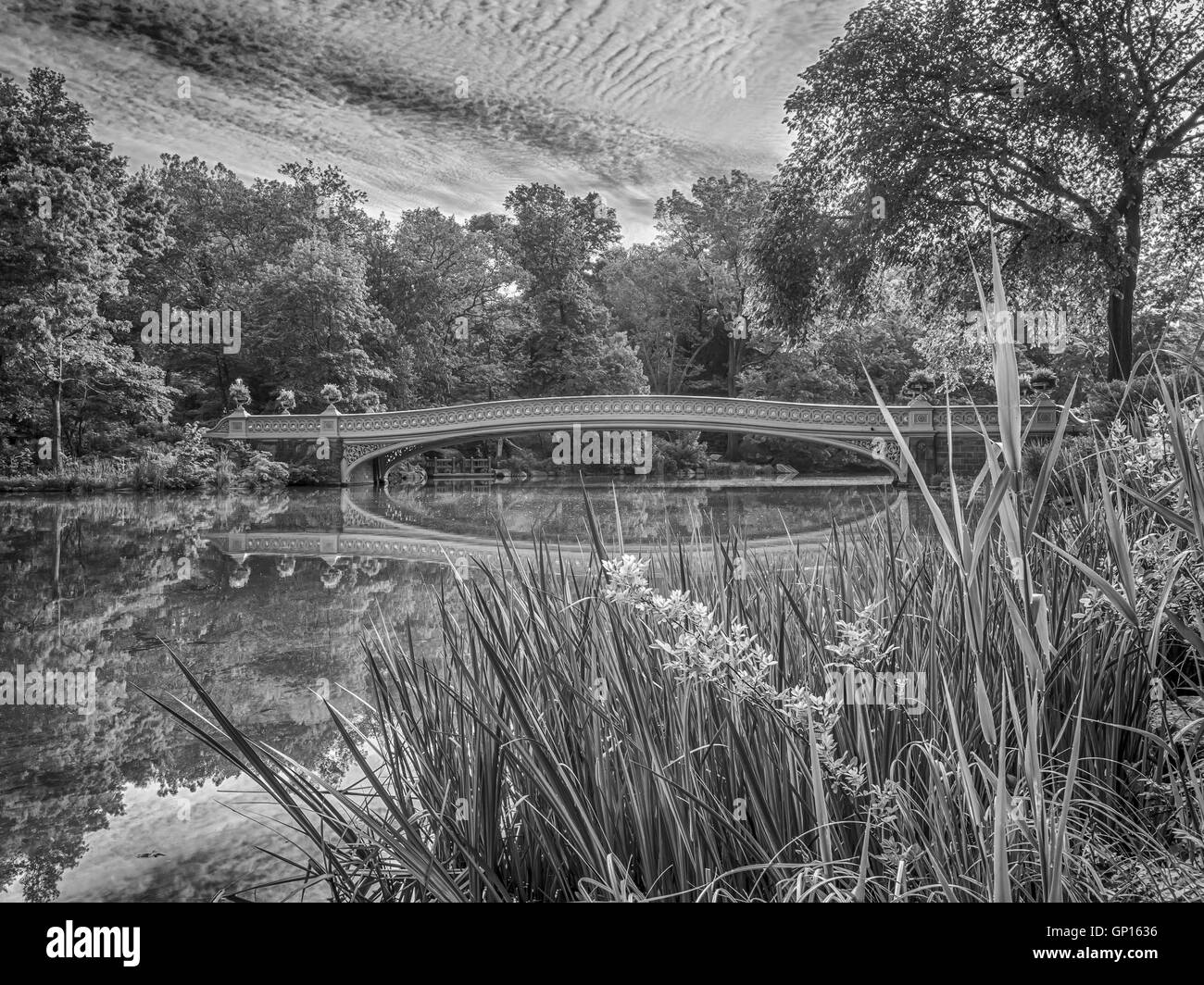The Bow Bridge is a cast iron bridge located in Central Park, New York ...