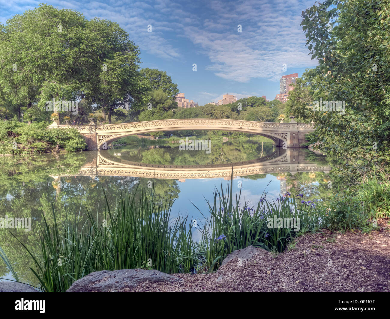 The Bow Bridge is a cast iron bridge located in Central Park, New York ...