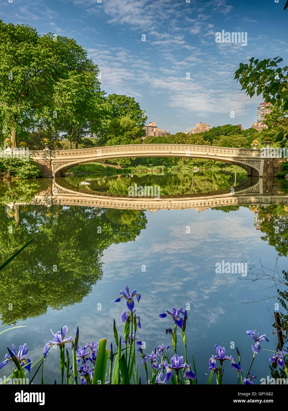 The Bow Bridge is a cast iron bridge located in Central Park, New York ...