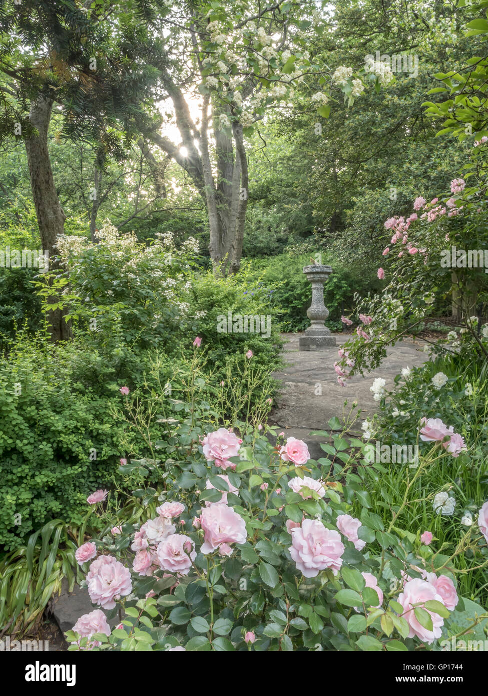 Central Park, New York City Shakespeare Garden Stock Photo Alamy