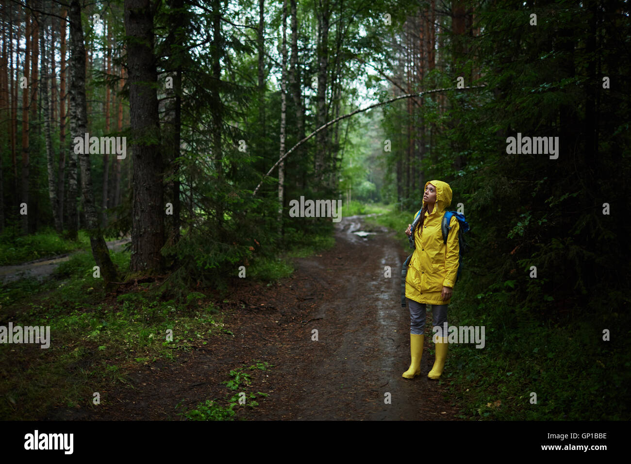 Female standing path forest hi-res stock photography and images - Alamy