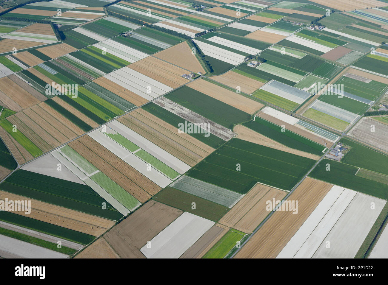 AERIAL VIEW. Agricultural lands within polders near Mont Saint-Michel. Manche, Normandie, France. Stock Photo