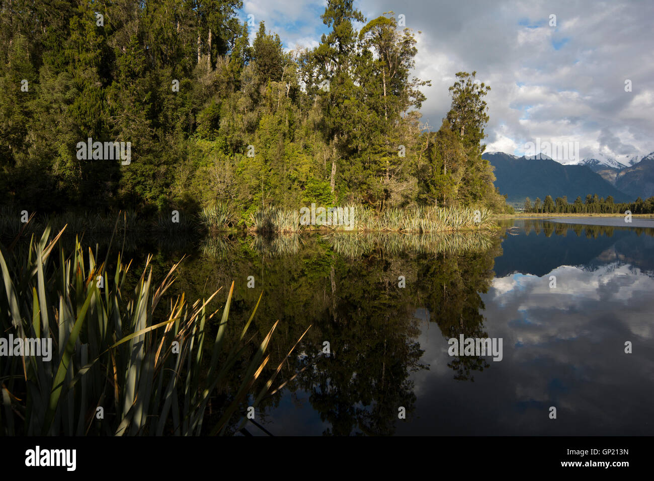 Lake Matheson near Fox Glacier in the West Coast Region of New Zealand is surrounded by a dense forest with Rimu and Kahikatea. Stock Photo