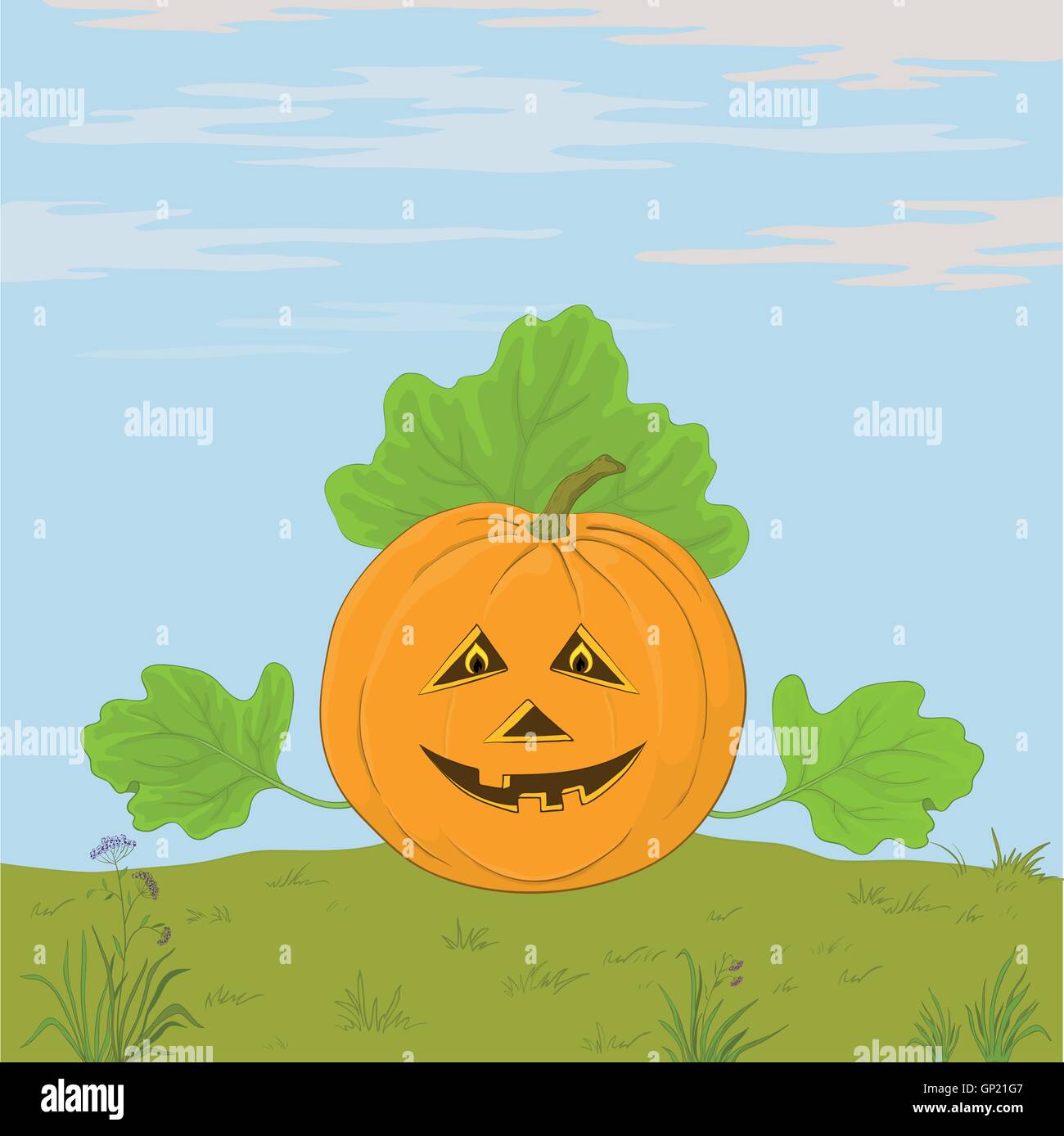 Pumpkin Jack O Lantern Stock Vector Image & Art - Alamy