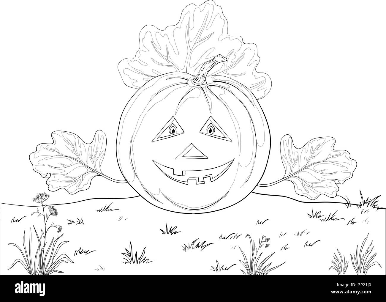 Pumpkin Jack O Lantern, contours Stock Vector Image & Art - Alamy