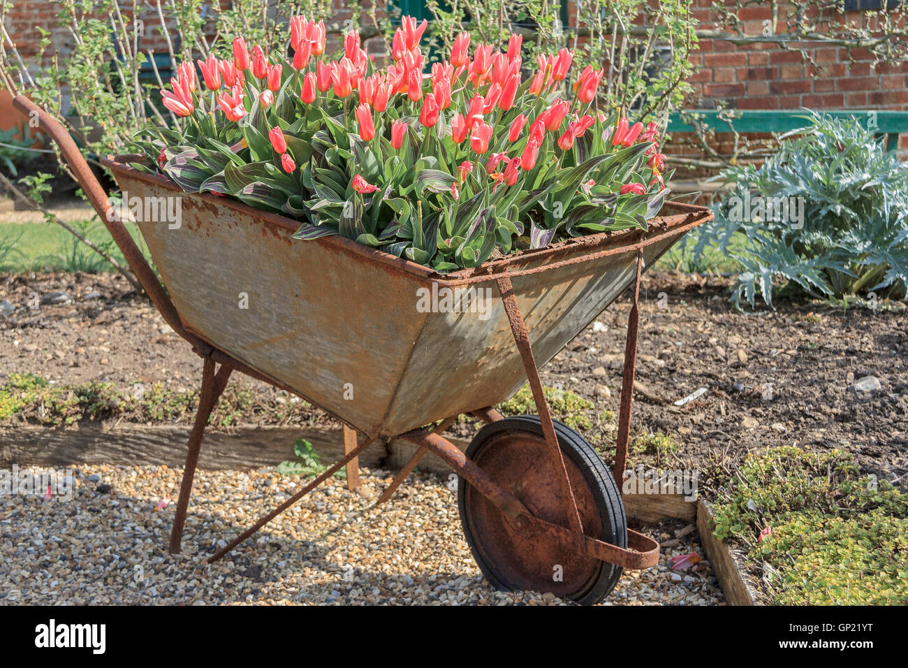 Flowers in a wheelbarrow hi-res stock photography and images - Alamy