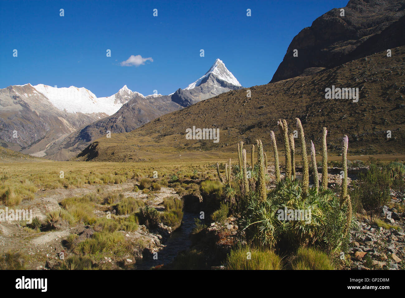 Artesonraju, view near Alpamayo Base Camp, Cordillera Blanca, Peru Stock Photo