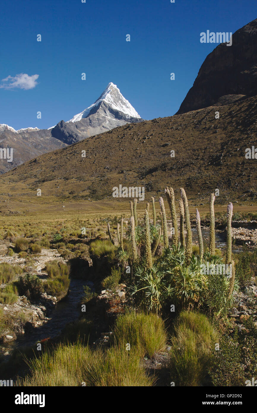 Artesonraju, view near Alpamayo Base Camp, Cordillera Blanca, Peru Stock Photo