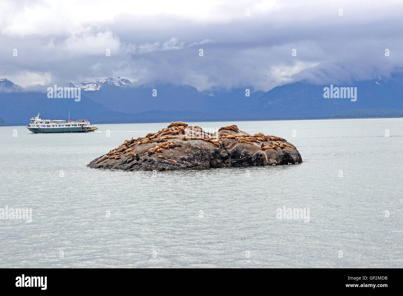 Sea lion colony on rock cruise ship Wilderness Discoverer Fog clouds Galcier Bay Inside Passage Southeast Alaska USA Stock Photo