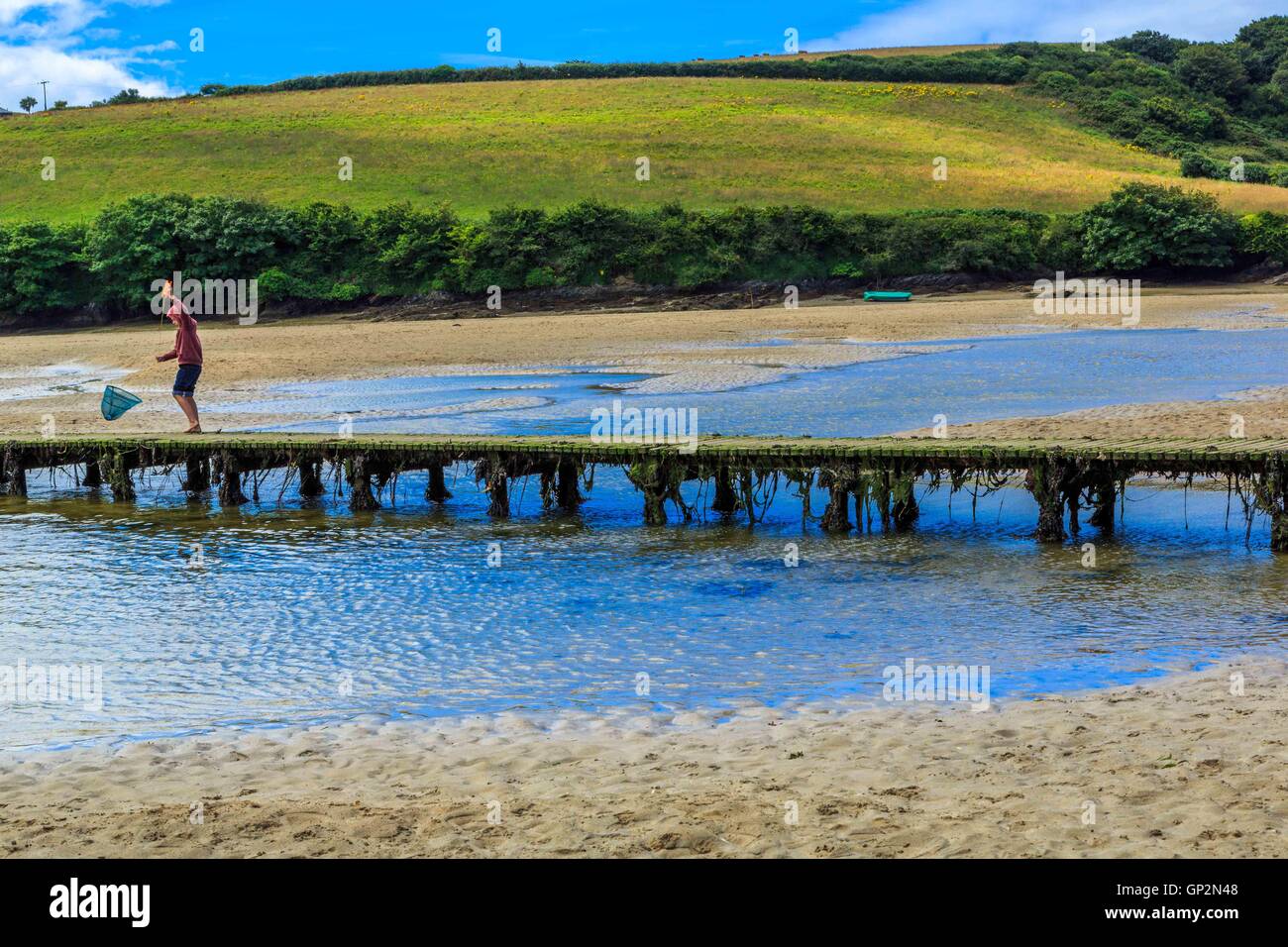 A bridge crossing a river estuary at low tide in Cornwall. Stock Photo