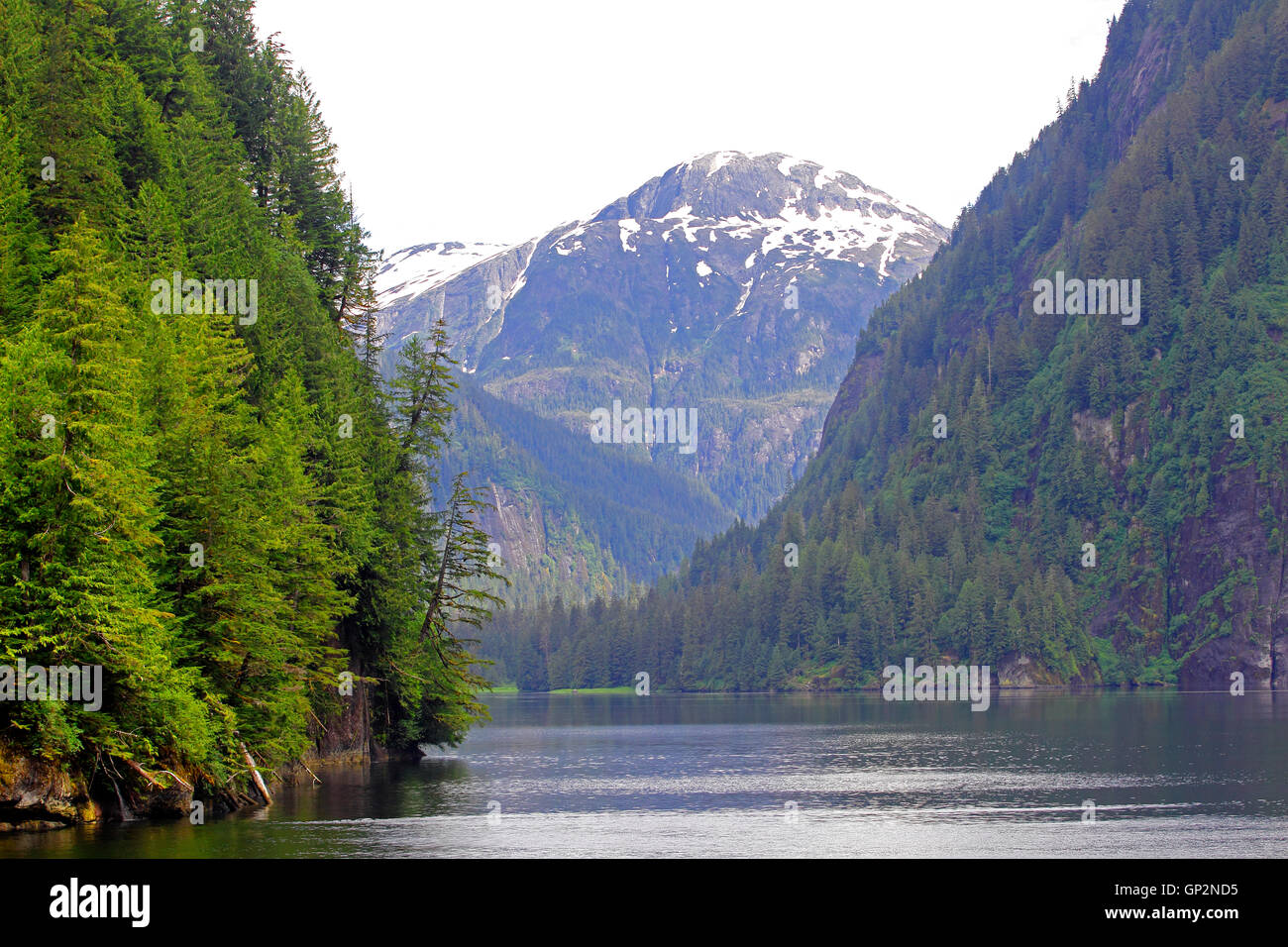 Landscape Misty Fjords National Monument Alaska Inside Passage Southeast Alaska USA Stock Photo