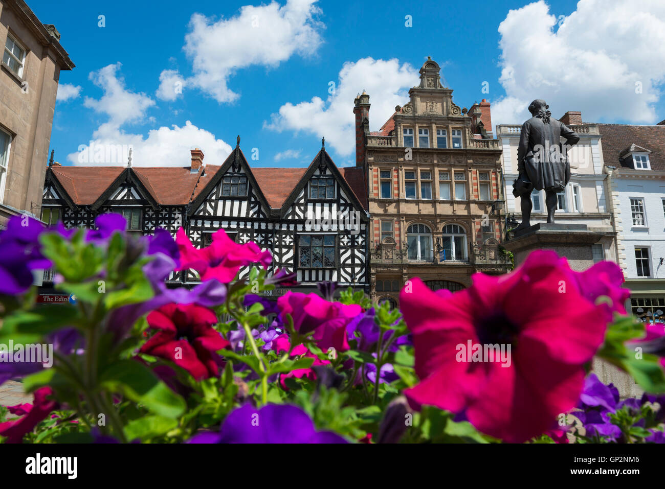 Summer flowers in the Square, Shrewsbury, Shropshire, England, UK Stock