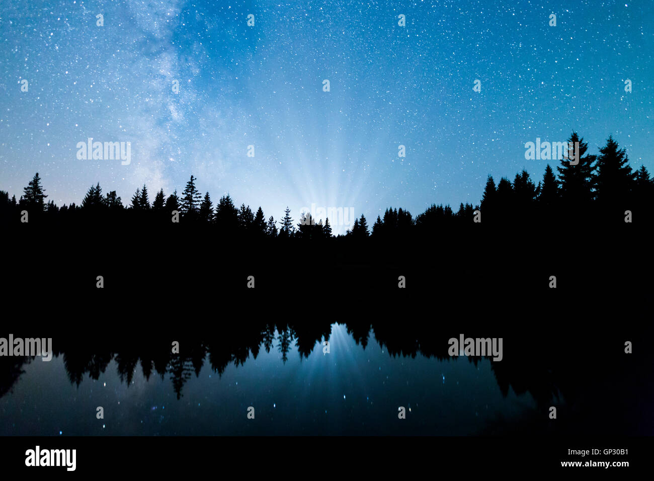A view of the stars of the Milky Way with a silhouette of a pine trees ...