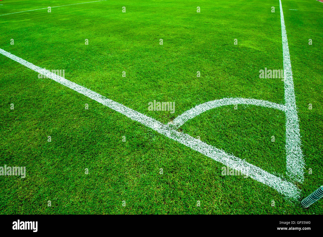 Football (soccer) field corner with white marks Stock Photo Alamy