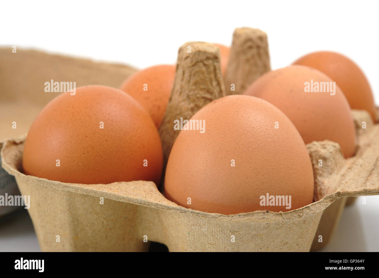 Eggs in Carton Stock Photo Alamy