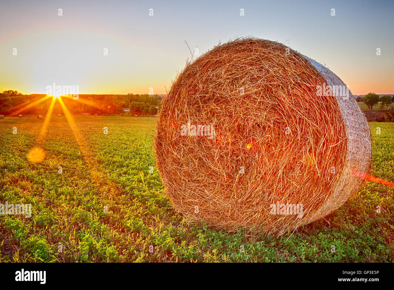 Straw bales in the sunset Stock Photo Alamy